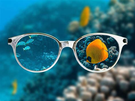 Can You Snorkel With Glasses 7 Great Ways To See Underwater