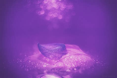 Lusinda – Medlinyelle