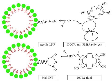 Molecular Imaging Of Cancer With Nanoparticle Based Theranostic Probes