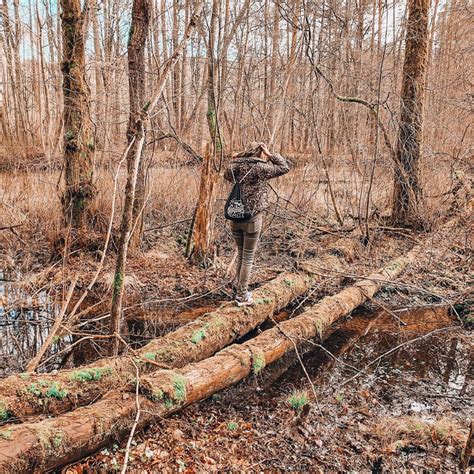 Jar Raduni Dzika Natura Na Kaszubach Gdzie W Polsce Na Weekend