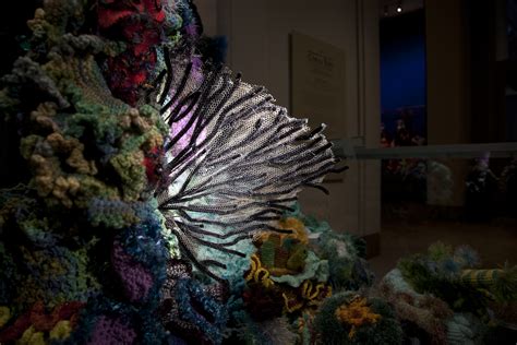 Hyperbolic Crochet Coral Reef Smithsonian Institution