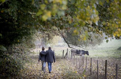 Langs De Bronnen Van De Zwalm Wandelroute Wandelknooppunt Be