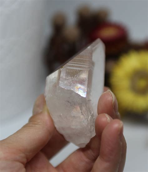 Lemurian Seed Quartz Shop Natural Lemurian Seed Crystal From Crystal