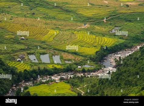 Terraced Rice Field Landscape Near Sapa In Vietnam Mu Cang Chai Rice