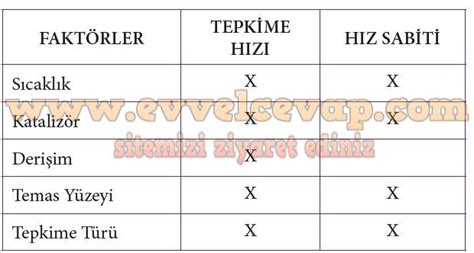 S N F Kimya Beceri Temelli Etkinlik Kitab Cevaplar Sayfa