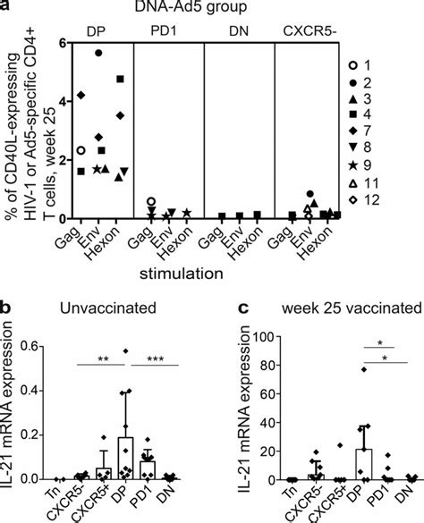 Vaccine Induced Pd Icos Ctfh Cells Are Antigen Specific And