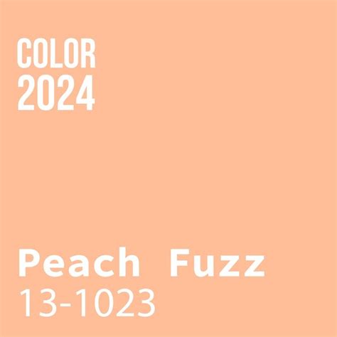 Premium Vector Template Trendy Color Of The Year 2024 Peach Fuzz