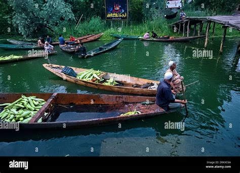 Floating Vegetable Market Dal Lake Srinagar Kashmir India Stock