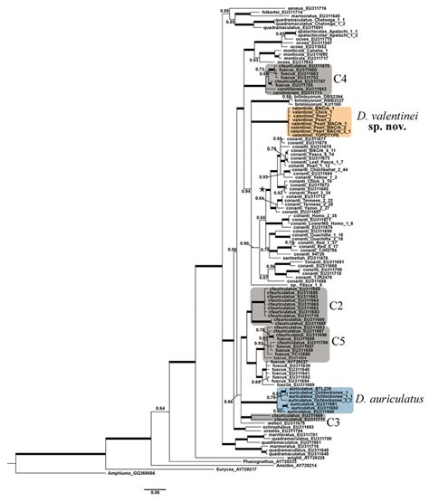 Bayesian Majority Rule Consensus Phylogram Of Concatenated Cox I