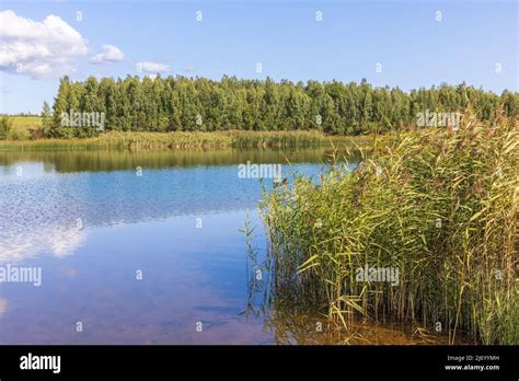 Tranebarssjon Fotos und Bildmaterial in hoher Auflösung Alamy