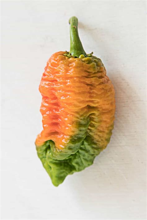 Hottest Pepper In The World List