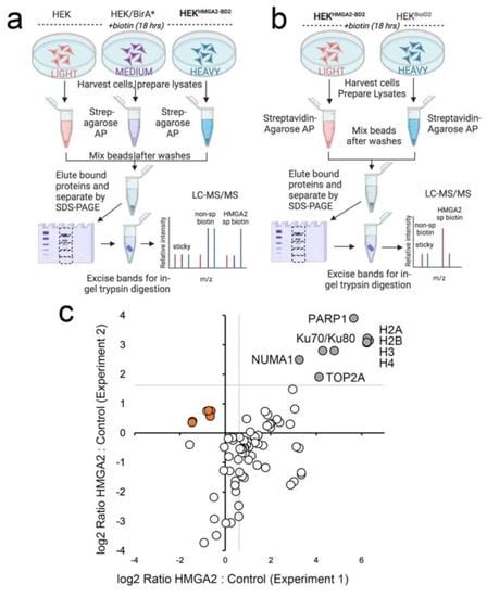 IJMS | February-2 2023 - Browse Articles 