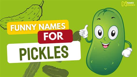 Funny Names For Pickles Barreled In Laughs Names Crunch