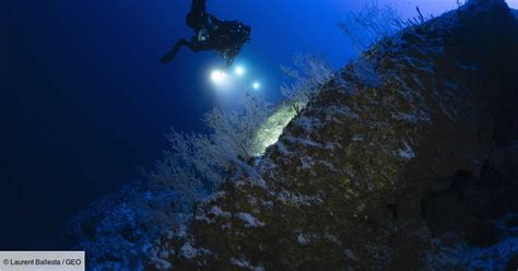 Le Mont La Pérouse Une Mystérieuse Montagne Sous Marine Au Cœur Dune