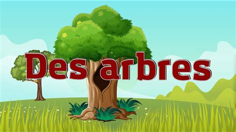 Arbres Pour Enfants Apprenez Les Parties D Un Arbre Pour Les Enfants