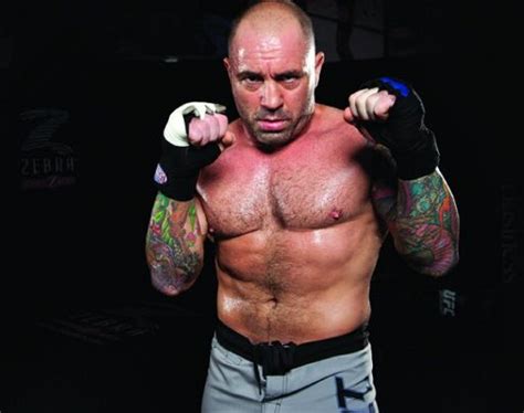 Joe Rogan | MMA Amino