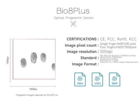 Ten Fingerprint Scanner Hfsecurity Biometric Solution