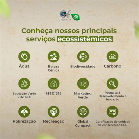 Conhe A Nossos Principais Servi Os Ecossist Micos Green Farm