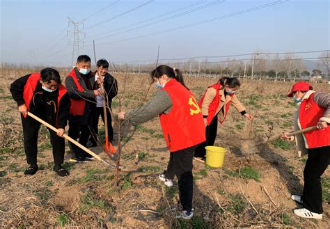 矿山集街道北山村开展拥抱春天 播种绿色植树活动杜集区人民政府