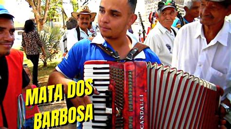 Folia De Reis Sul Mineira Mata Dos Barbosa Sanfoneiros