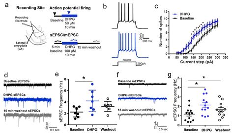 Activation Of The Same Mglur5 Receptors In The Amygdala Causes