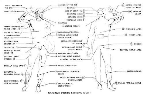 Body Pressure Points Diagram