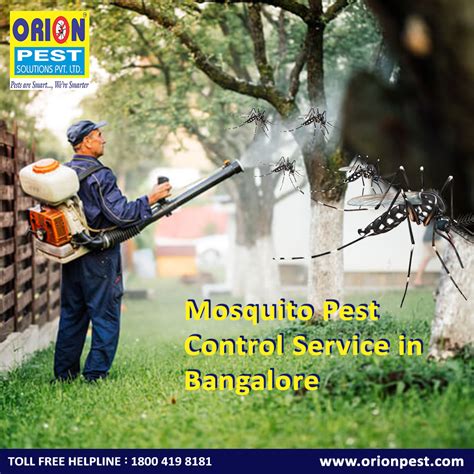 Mosquito Pest Control Service In Bangalore Orion Pest Solutions