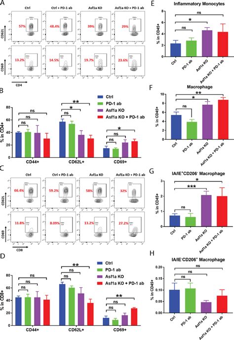 In Vivo Epigenetic CRISPR Screen Identifies Asf1a As An