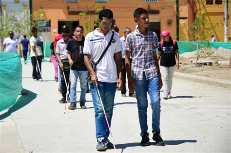 Talleres De Orientaci N Movilidad Y T Cnicas De La Vida Diaria Para