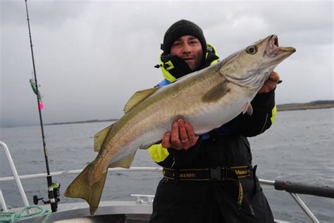 Norwegen | Willkommen bei raubfischer-des-nordens.de