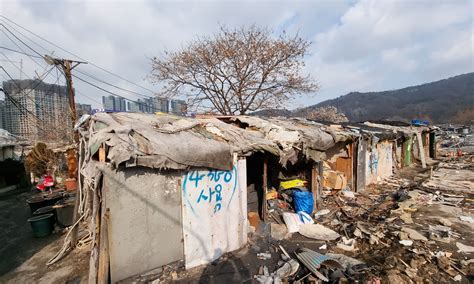 ‘Disaster subculture’ helps people cope • Earth.com – Green Reporter