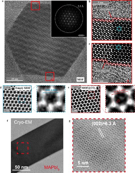 Cryogenic Electron Microscopy Cryo Em For Metalorganic Frameworks