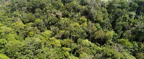 1º Fórum de Sustentabilidade do Estado do Tocantins quer sensibilizar e