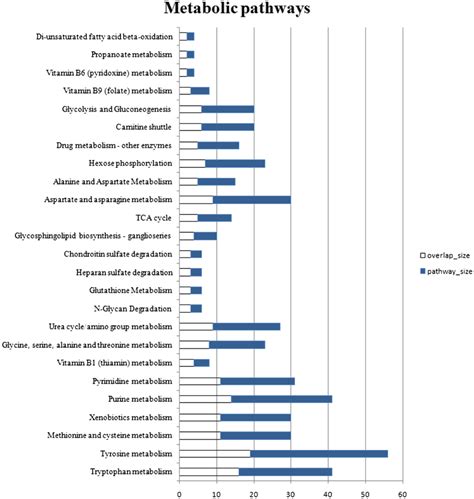 The Major Metabolic Pathways In The Intracellular And Extracellular Download Scientific Diagram