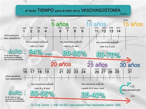 Qué Es Una Reversión De Vasectomía O Vasovasostomía Guía Completa