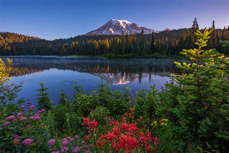 Mount Rainier And Reflection Lake Stock Photos, Pictures & Royalty-Free Images - iStock