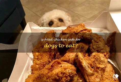 Is Fried Chicken Safe For Dogs To Eat Petshun