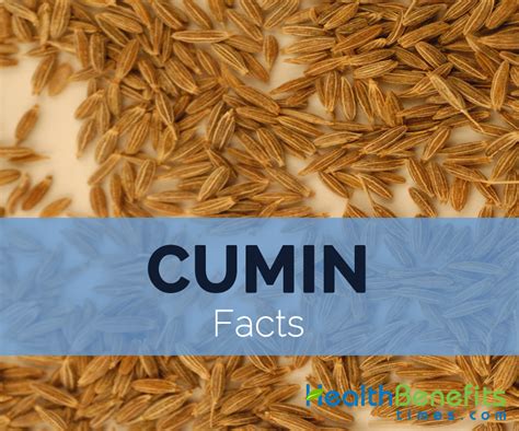 Cumin Facts And Nutritional Value