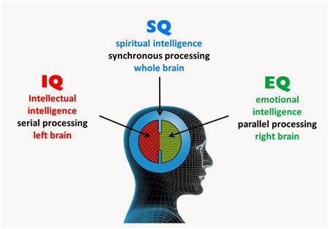 Penting Mengenal Arti Iq Eq Dan Sq