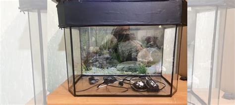 Аквариум / террариум купить в Анапе | Животные и зоотовары | Авито