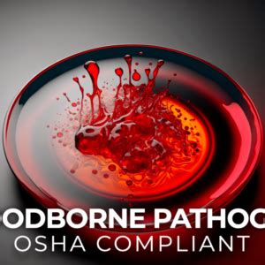 Osha Compliant Bloodborne Pathogens Training Hr Premiere Education