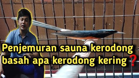 Penjemuran Sauna Kerodong Basah Atau Kerodong Kering YouTube