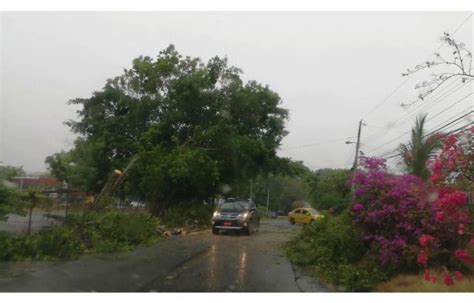 Primeras Lluvias En Azuero Causan Estragos