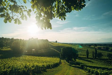 Le Migliori Cantine Da Visitare In Umbria Decanto Giornale Di Vino