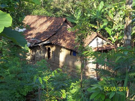 Rumah Sederhana Di Tengah Hutan Desain Rumah Modern