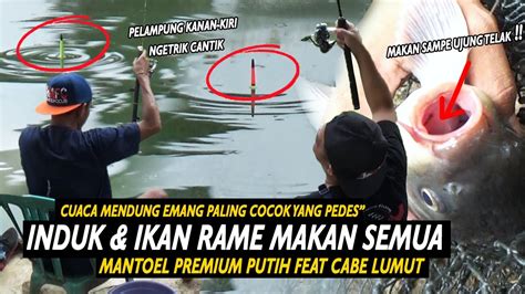 IKAN NGEBLOK KE POJOK PAKE UMPAN ESEN INI IKAN JADI GESER KE