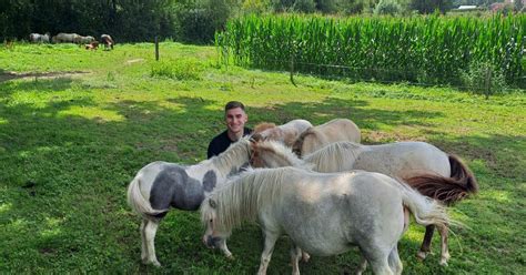 Saint Loup Géanges À 26 ans passionné par les chevaux miniatures il