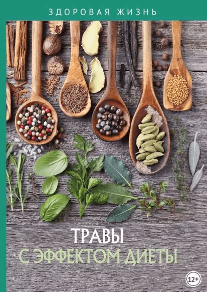 ТОП-17: книги о травах и лечебных растениях