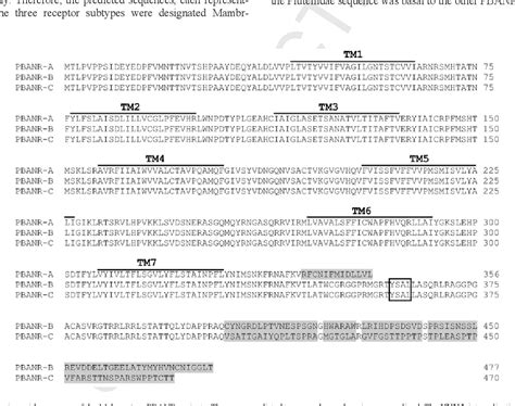 Figure From Identification And Functional Characterization Of The