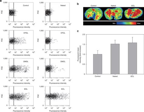 In Vivo Lung Retention And Representative Lung Cellular Uptake